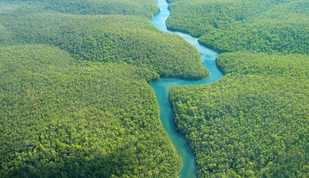 Luftaufnahme des Amazonas-Regenwaldes